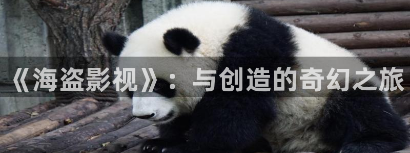 樱花影院电视剧免费观看：《海盗影视》：与创造的奇幻之旅