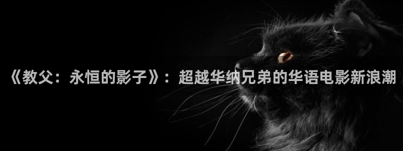 樱花视频老版本：《教父：永恒的影子》：超越华纳兄弟的华语电影新浪潮