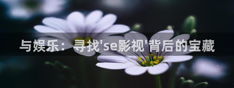 www..com樱花视频：与娱乐：寻找\'se影视\'背后的宝藏