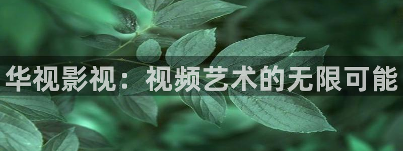 樱花影院免费观看电视剧电影：华视影视：视频艺术的无限可能