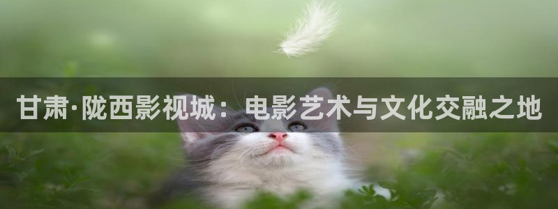 樱花影院韩国：甘肃·陇西影视城：电影艺术与文化交融之地