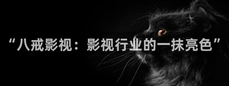 日本樱花视频入口：“八戒影视：影视行业的一抹亮色”