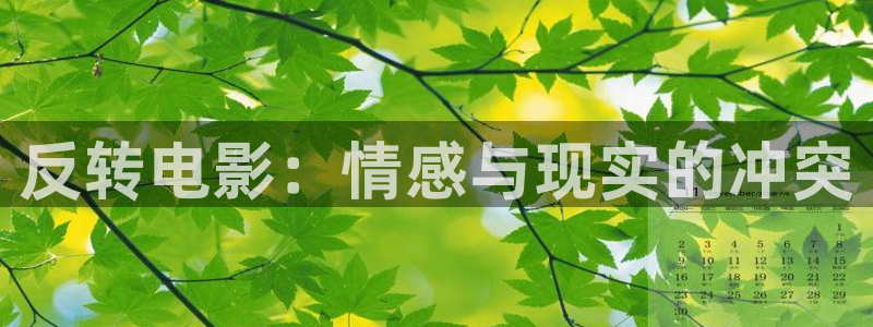 国产樱花视频：反转电影：情感与现实的冲突