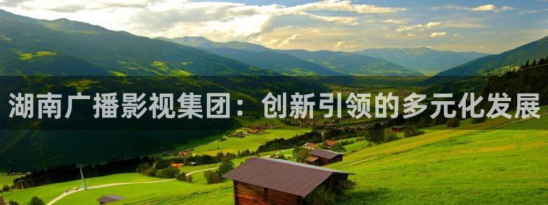 樱花视频在线观看高清免费资源在线观看：湖南广播影视集团：创新引领的多元化发展