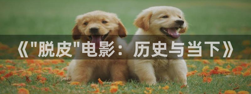 樱花影院热门电视剧有哪些