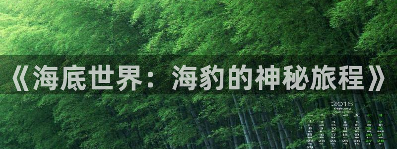.樱花影视：《海底世界：海豹的神秘旅程》