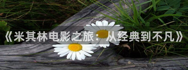 舞蹈樱花视频教程：《米其林电影之旅：从经典到不凡》
