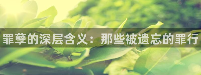 天使降临到我身边樱花视频：罪孽的深层含义：那些被遗忘的罪行