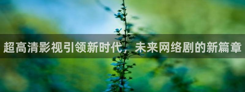 大连樱花视频：超高清影视引领新时代，未来网络剧的新篇章