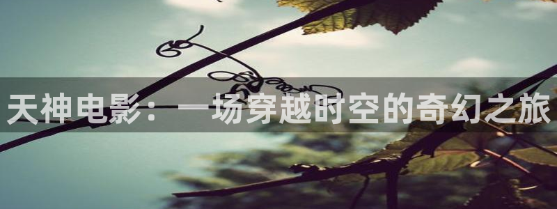www..com樱花视频