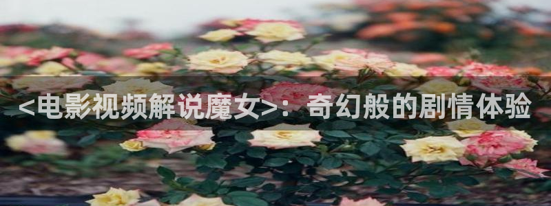 樱花视频软