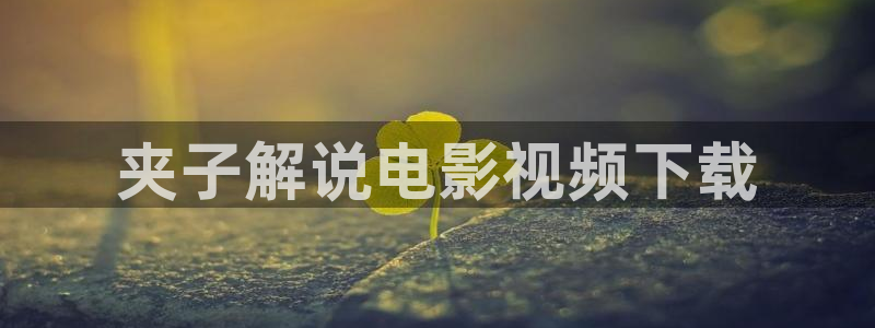 樱花视频色版