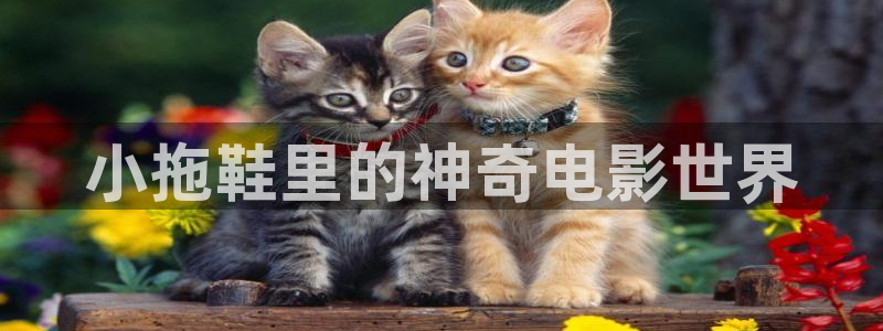 樱花视频17
