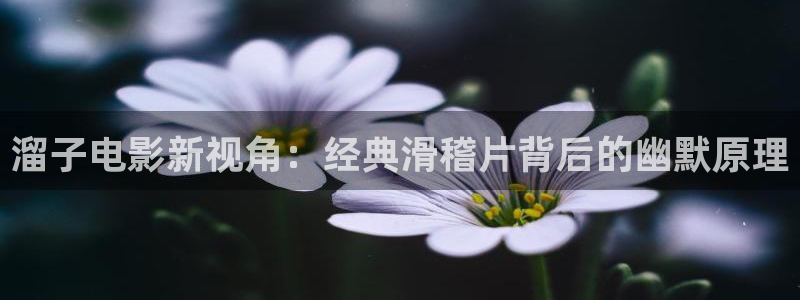 樱花视频在线观看免费高清电视剧高：溜子电影新视角：经典滑稽片背后的幽默原理