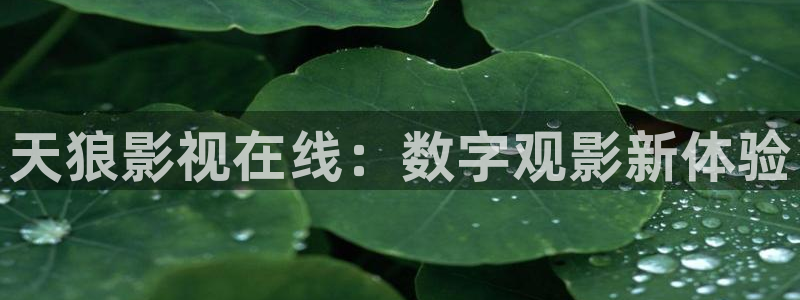 樱花影视视频：天狼影视在线：数字观影新体验