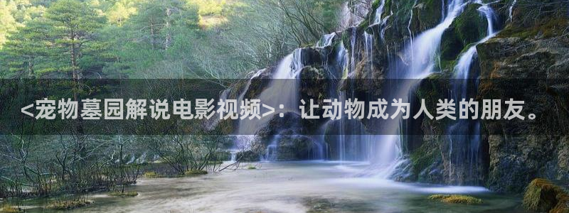 樱花视频刷色软件：<宠物墓园解说电影视频>：让动物成为人类的朋友。