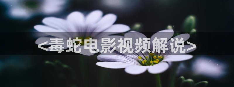 樱花视频怎么安装：<毒蛇电影视频解说>
