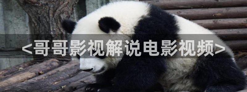 樱花视频在线观看入口：<哥哥影视解说电影视频>