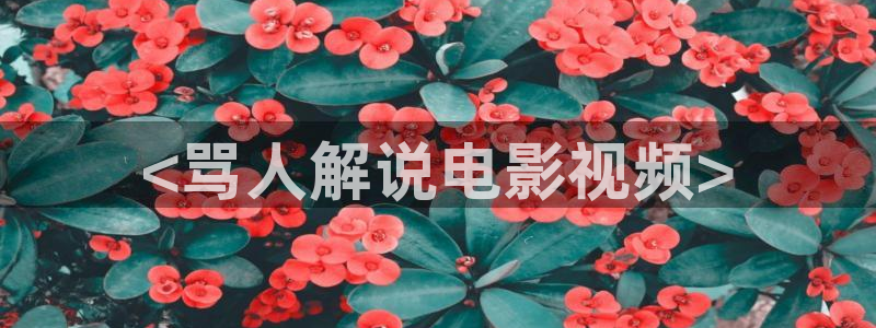 樱花视频最新版：<骂人解说电影视频>
