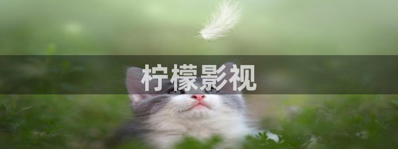 樱花影院视频：柠檬影视