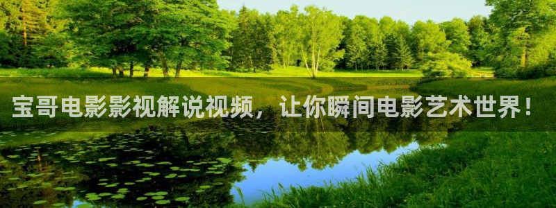 电影樱花视频在线观看：宝哥电影影视解说视频，让你瞬间电影艺术世界！