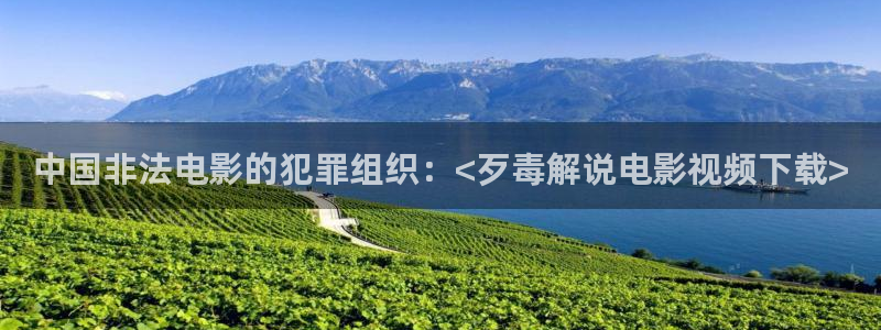 樱花影视在线观看电视剧全集免费播放：中国非法电影的犯罪组织：<歹毒解说电影视频下载>