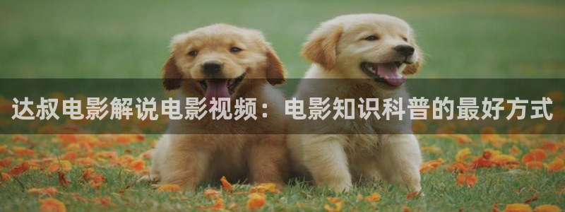 无颜之月樱花视频在线观看：达叔电影解说电影视频：电影知识科普的最好方式