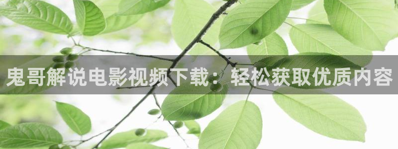 樱花影院理论