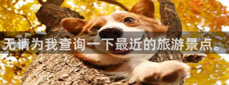 樱花影院版在线观看