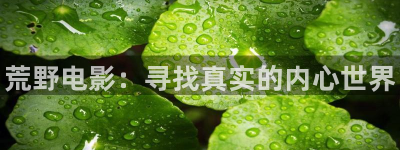 樱花视频在线观看高清