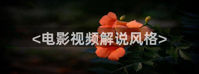 樱花影视网