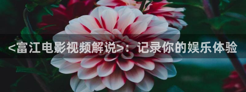 日在校园樱花视频