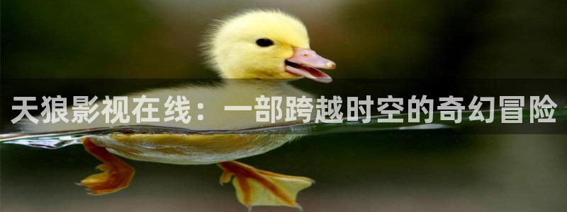 玖玖玖樱花视频