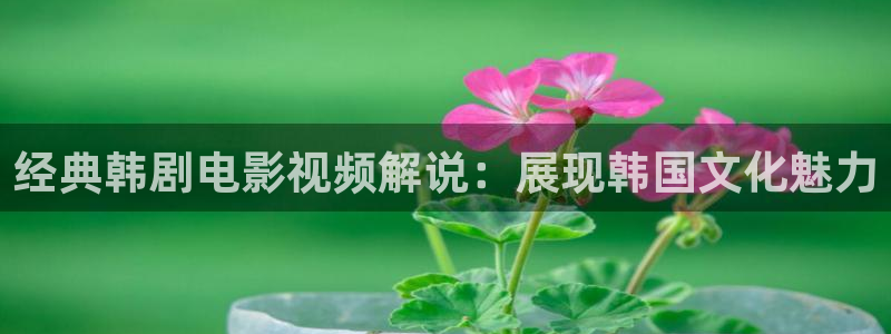 红樱花视频