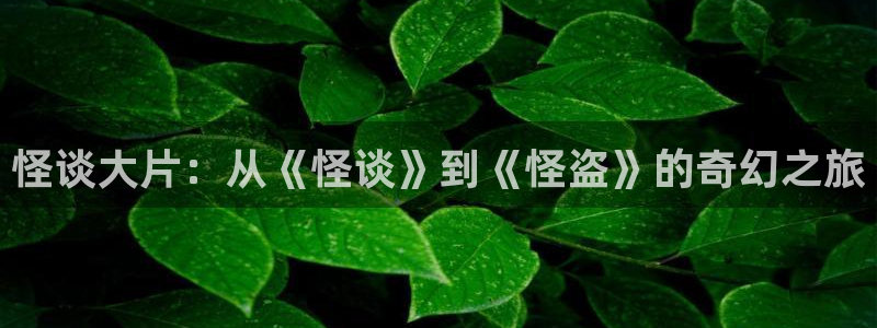 樱花影视电视剧电影