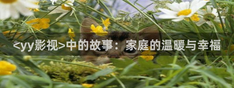关于樱花视频