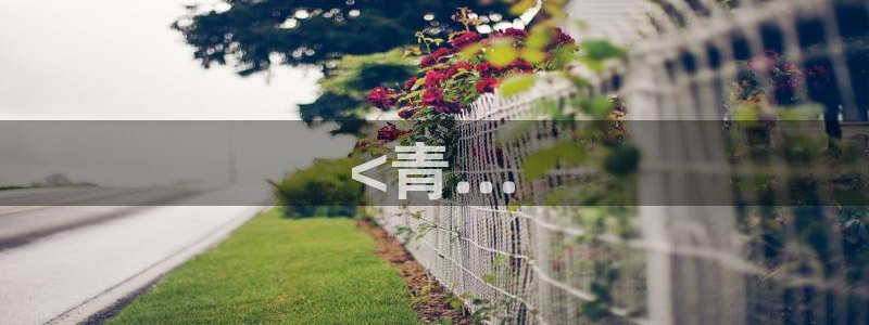 玖玖玖樱花视频