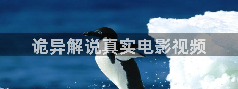 大连樱花视频：诡异解说真实电影视频