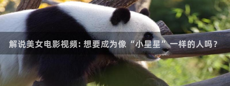 樱花视频美女版：解说美女电影视频: 想要成为像“小星星”一样的人吗？