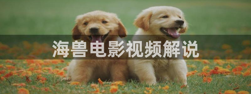 樱花视频樱花直播：海兽电影视频解说