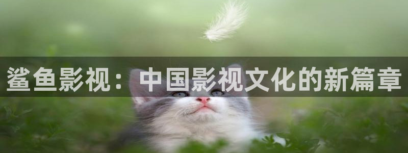 樱花视频在线一区