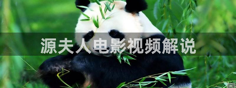 樱花视频,