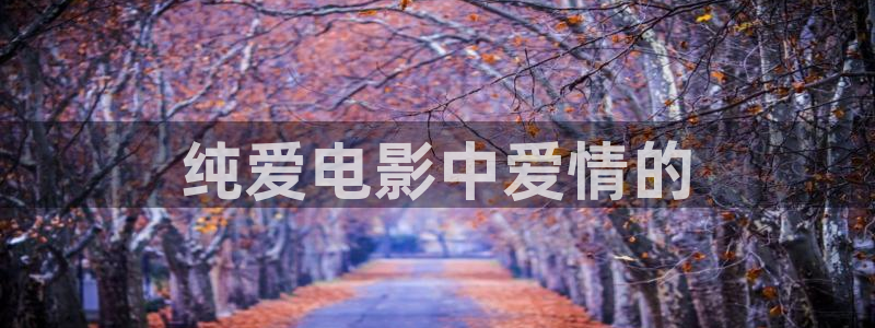 大连樱花视频