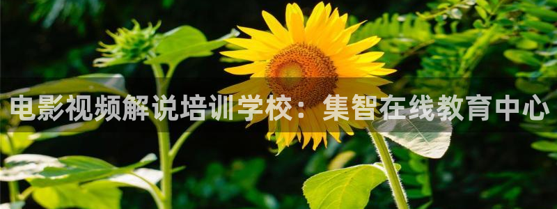 樱花视频app官网