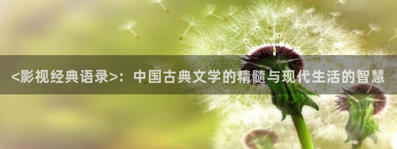 樱花影院经典电视剧免费观看