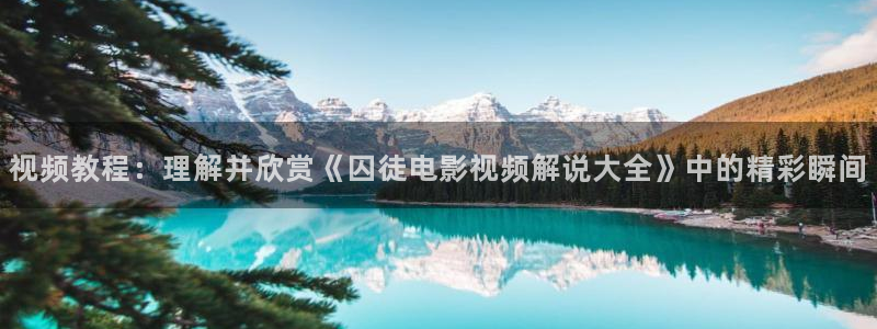 樱花视频观看高清