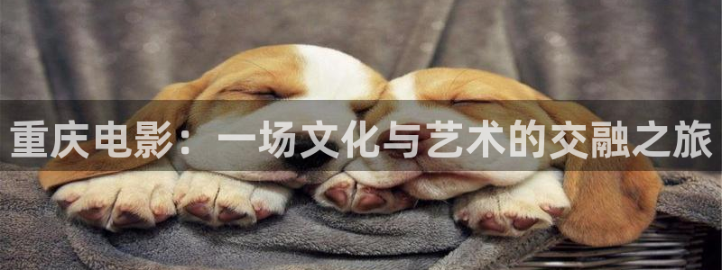 樱花影视免费观看电视