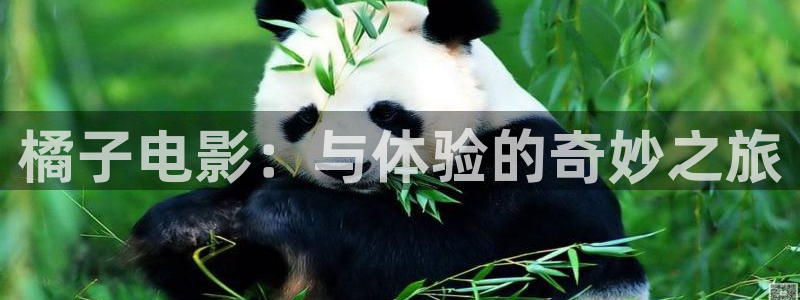 樱花视频