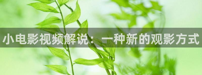 樱花影院在线观看免费高清电视剧