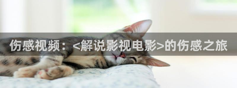 樱花影视免费在线看电视